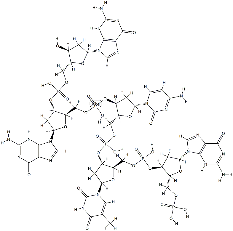 transcription factor TEF