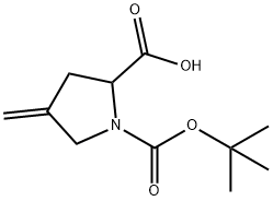 1-(叔丁氧基羰基)-4-亚甲基吡咯烷-2-羧酸