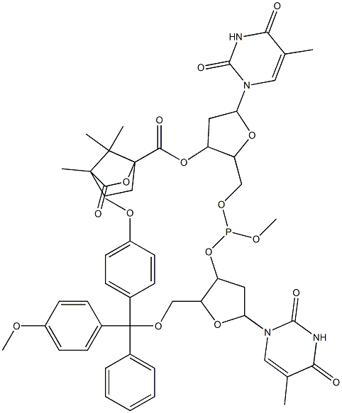 3'-O-(5'-dimethoxytritylthymidyl)-5'-O-(3'-camphanoylthymidyl)-O-methyl phosphite