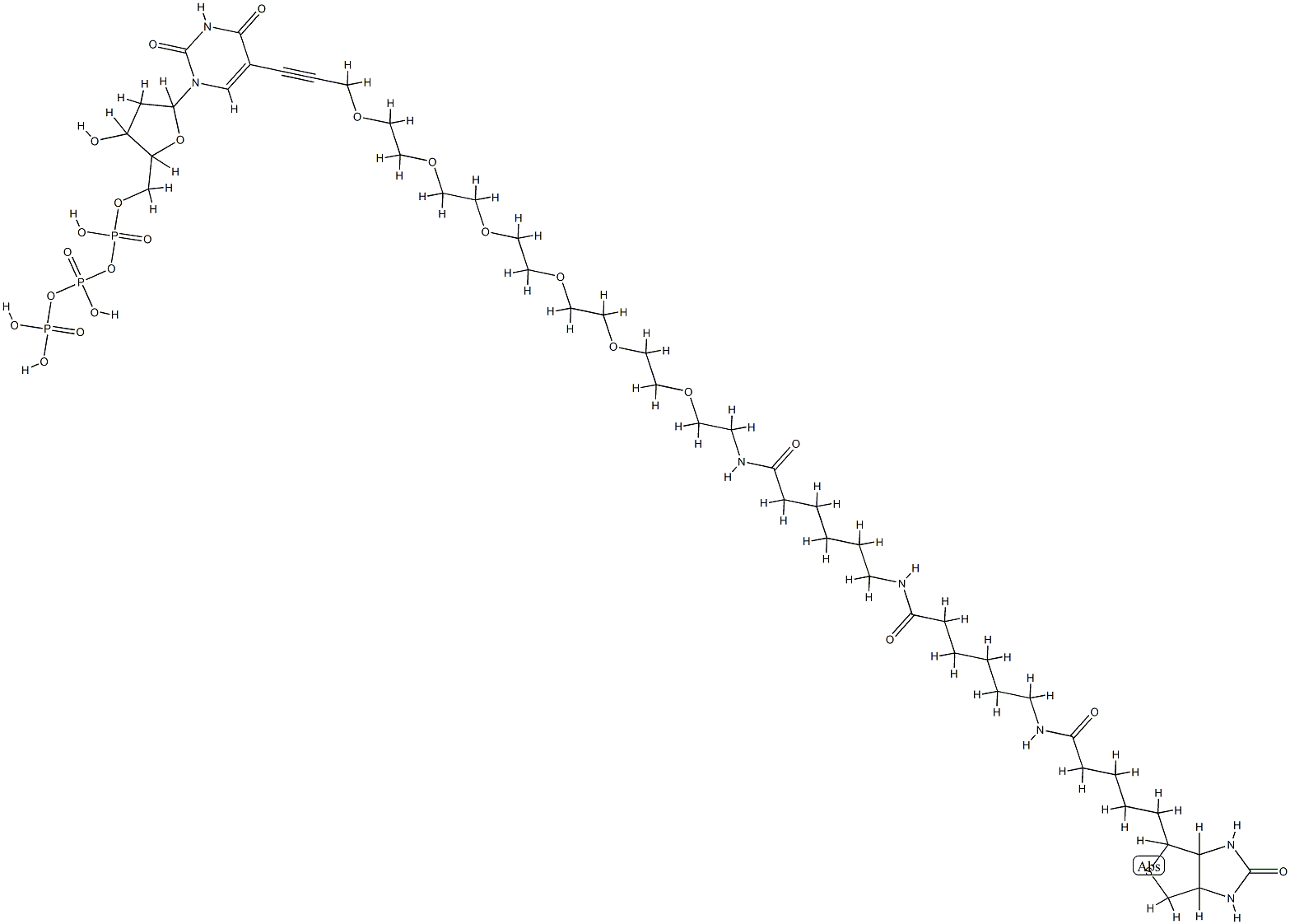 [[[5-[2,4-dioxo-5-[3-[2-[2-[2-[2-[2-[2-[6-[6-[5-(7-oxo-3-thia-6,8-diaz abicyclo[3.3.0]oct-2-yl)pentanoylamino]hexanoylamino]hexanoylamino]eth oxy]ethoxy]ethoxy]ethoxy]ethoxy]ethoxy]prop-1-ynyl]pyrimidin-1-yl]-3-h ydroxy-oxolan-2-yl]methoxy-hydroxy-phosphoryl]oxy-hydroxy-phosphoryl]o xyphosphonic acid