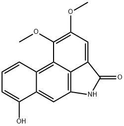 Velutinam