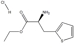 (S)-2-氨基-3-(噻吩-2-基)丙酸甲酯
