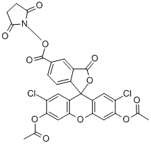 5(6)-羧基-2`,7`-二氯荧光素二乙酸酯N-琥珀酰亚胺酯