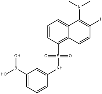 3-(5-dimethylamino-6-iodo-1-naphthalenesulfonamido)phenylboronic acid