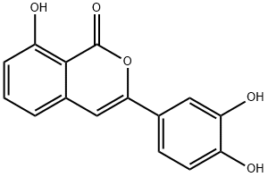 thunberginol A