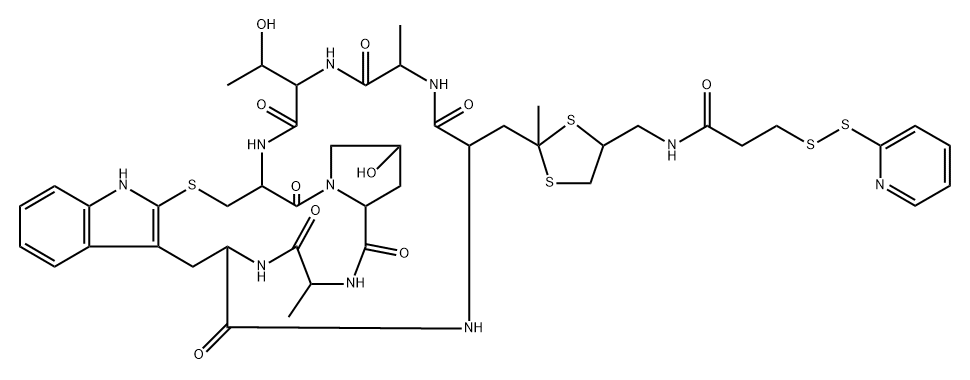aminomethyldithiolano phalloidin