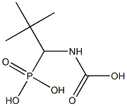 Carbamic acid, (phosphonomethyl)-, C-(1,1-dimethylethyl) ester (9CI)