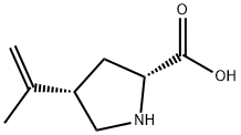 D-Proline, 4-(1-methylethenyl)-, cis- (9CI)