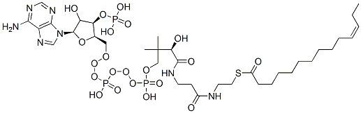 S-[2-[3-[[(2R)-4-[[[(2R,3R,5R)-5-(6-aminopurin-9-yl)-4-hydroxy-3-phosphonooxyoxolan-2-yl]methoxy-hydroxyphosphoryl]oxy-hydroxyphosphoryl]oxy-2-hydroxy-3,3-dimethylbutanoyl]amino]propanoylamino]ethyl] (Z)-tetradec-11-enethioate