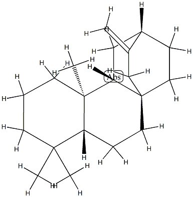 (5β,8α,9β,10α,12α)-Atis-16-ene