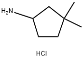3,3-二甲基环戊烷-1-胺盐酸盐