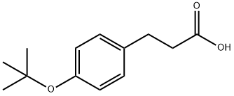 3-(4-TERT-BUTOXYPHENYL)PROPANOIC ACID
