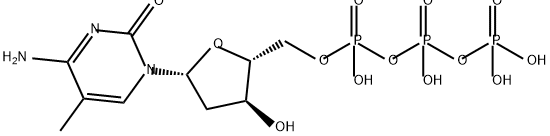 5-methyldeoxycytidine triphosphate
