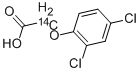 2,4-DICHLOROPHENOXY ACETIC ACID, [METHYLENE-14C]