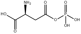 L-Aspartic acid, 4-monoanhydride with phosphoric acid (9CI)