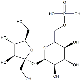 sucrose-6-phosphate