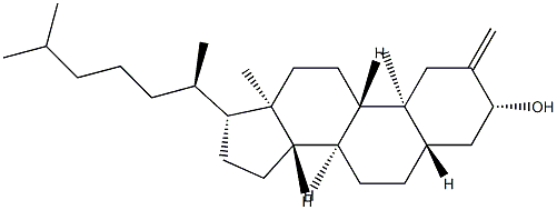 2-Methylene-5α-cholestan-3β-ol