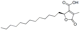 (S)-2-tridecyl-2,5-dihydro-4-methyl-5-oxo-3-furoic acid