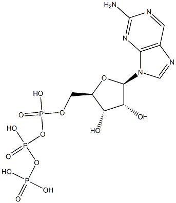 9-(BETA-D-呋喃核糖基)-2-氨基嘌呤 5'-三磷酸酯