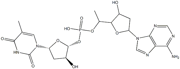 2'-deoxyadenylyl-(3'-5')-thymidine