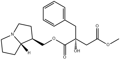 Phalaenopsine T
