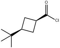 Cyclobutanecarbonyl chloride, 3-tert-butyl-, cis- (8CI)