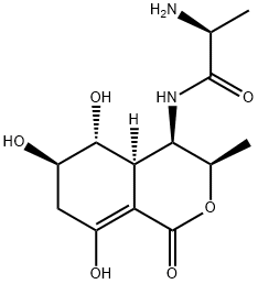 放线菌光素
