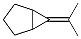 Bicyclo[3.1.0]hexane, 6-isopropylidene-