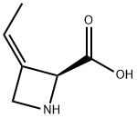 Polyoximic acid