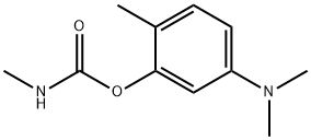 N-Methylcarbamic acid 5-(dimethylamino)-o-tolyl ester