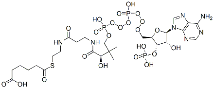 6-[2-[3-[[(2R)-4-[[[(2R,3S,4R,5R)-5-(6-aminopurin-9-yl)-4-hydroxy-3-phosphonooxyoxolan-2-yl]methoxy-hydroxyphosphoryl]oxy-hydroxyphosphoryl]oxy-2-hydroxy-3,3-dimethylbutanoyl]amino]propanoylamino]ethylsulfanyl]-6-oxohexanoic acid