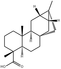 (5α,8β,9α,10β,12β,13R,16S)-Trachyloban-18-oic acid