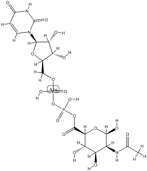 uridine diphosphate N-acetyl-D-mannosaminuronic acid