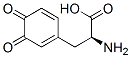 (S)-α-Amino-3,4-dioxo-1,5-cyclohexadiene-1-propanoic acid