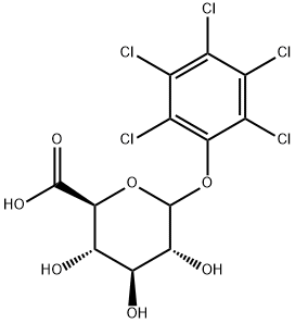 pentachlorophenol glucuronide