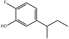 Phenol,  5-sec-butyl-2-fluoro-  (8CI)