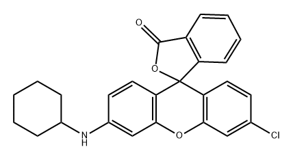 3'-氯-6'-(环己基氨基)荧烷