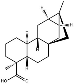 trachyloban-19-oic acid