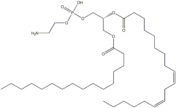 1-Palmitoyl-2-linoleoyl PE
