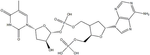 Poly dA-dT