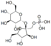 sucrose phosphate