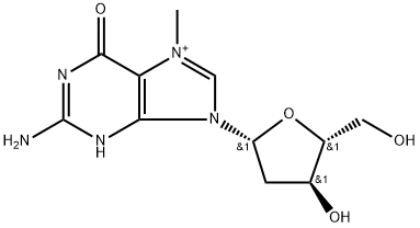 7-methyl-2-deoxyguanosine