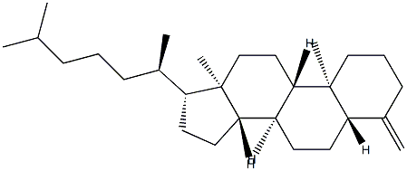 4-Methylene-5α-cholestane