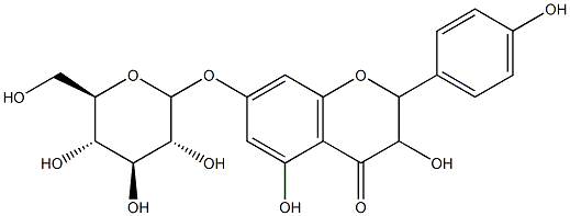 SINENSIN