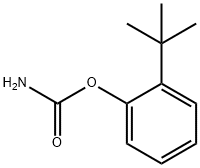 (2-tert-butylphenyl) carbamate