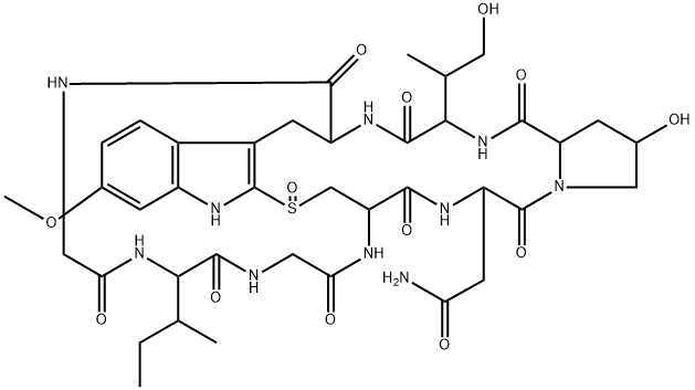 2-methyl-demethyl gamma-amanitin
