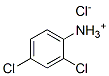 2,4-dichloroanilinium chloride