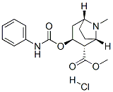 methyl (1S,2S,3S,5R)-8-methyl-3-(phenylcarbamoyloxy)-8-azabicyclo[3.2. 1]octane-2-carboxylate hydrochloride