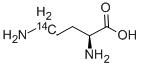 ORNITHINE, L-, [5-14C]