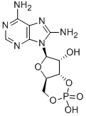 8-AMINOADENOSINE 3':5'-CYCLICMONOPHOSPHA TE FREE AC